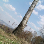Z výletu