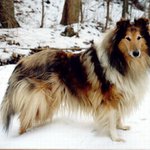 Tady je Bredova máma :)