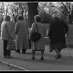 Holky na procházce...