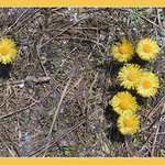 Ty jsi sedmý, jdi pryč...