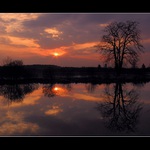 Tam v Karviné... 22.dubna 2003