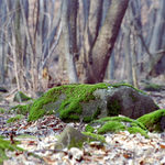 Slánske vrchy - detail