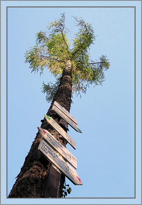 Kudy dál?