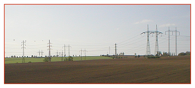 Zalesněná krajina