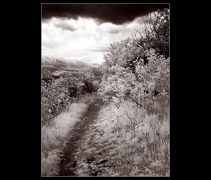 dnes tam není hezky...