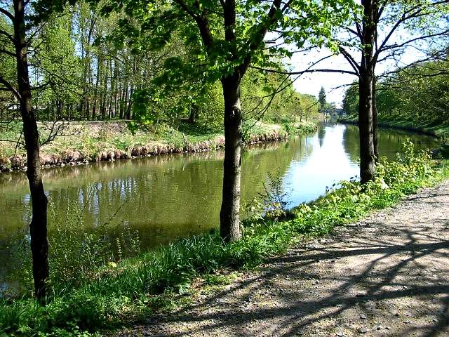 ráno