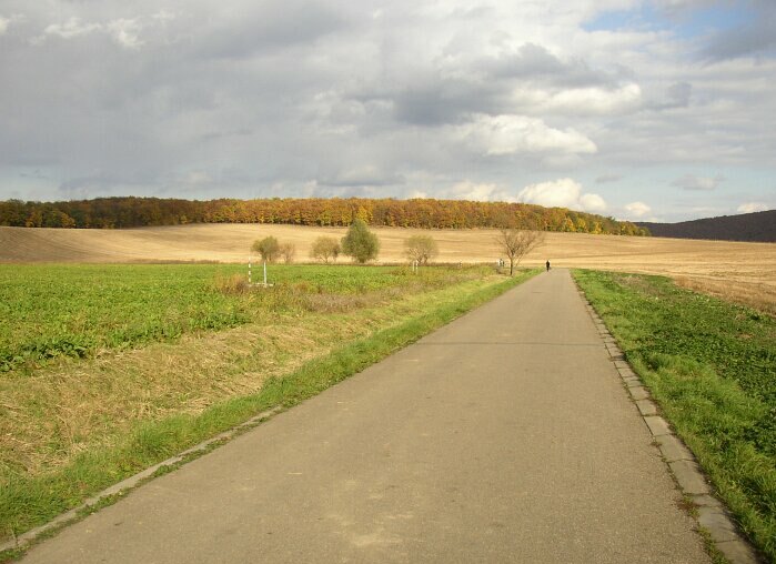 Podzimní II