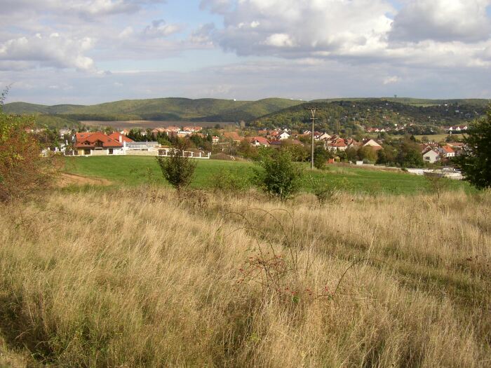 Letní