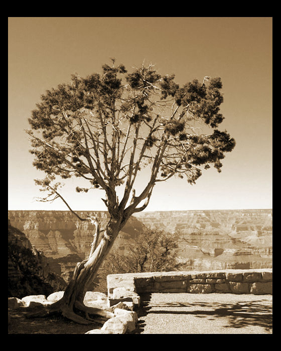 ..: Grand Canyon :..