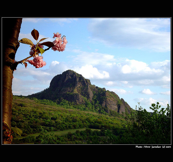 - JEN TAK - trochu jinak -