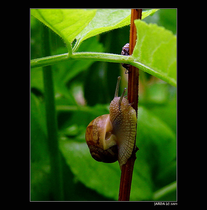 - Pozdrav Pánbůh sousede -