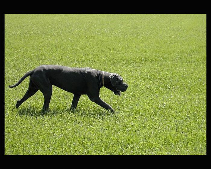 Keep walking
