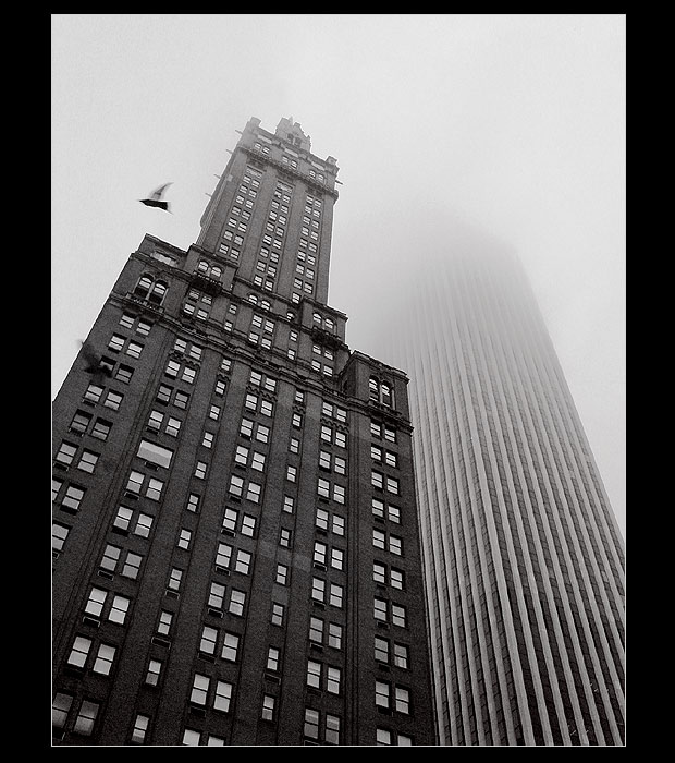 fog over 5th ave