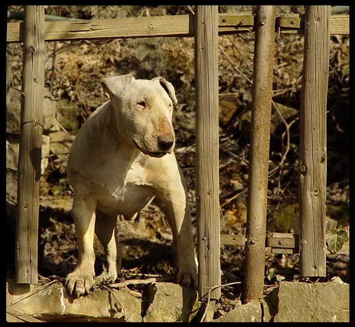 Dášenka to s anaboliky trochu přehnala