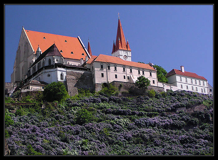 Znojmo v květ(n)u