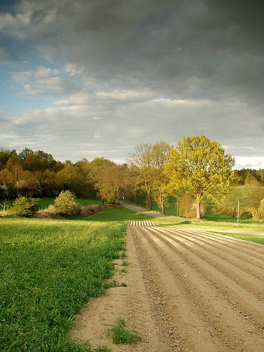 Českomoravská vrchovina I
