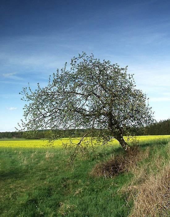 Jihočeská zastavení III