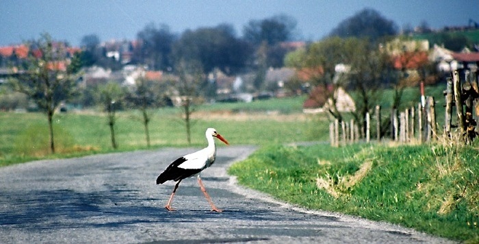 Jihočeská zastavení IV
