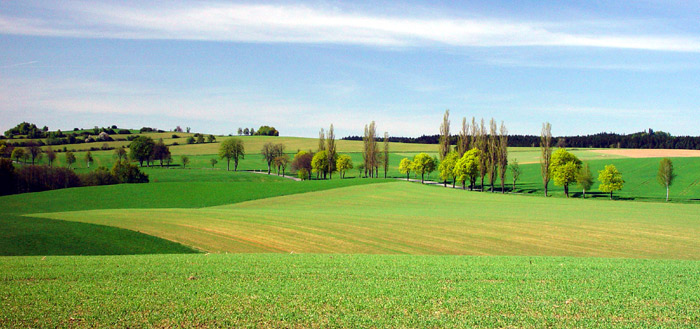 Vysočina