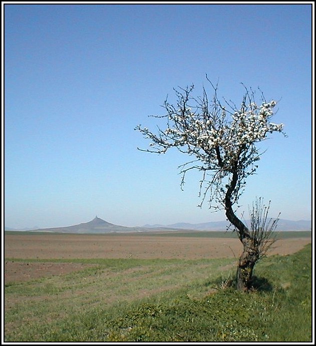Hazmburk