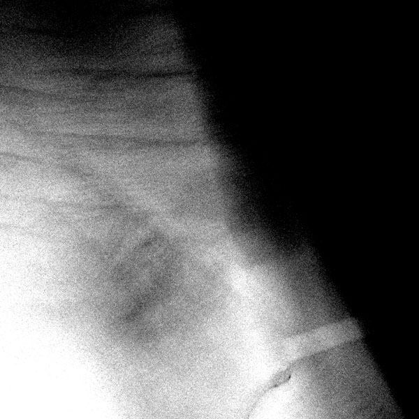 portrét jednoho z nás