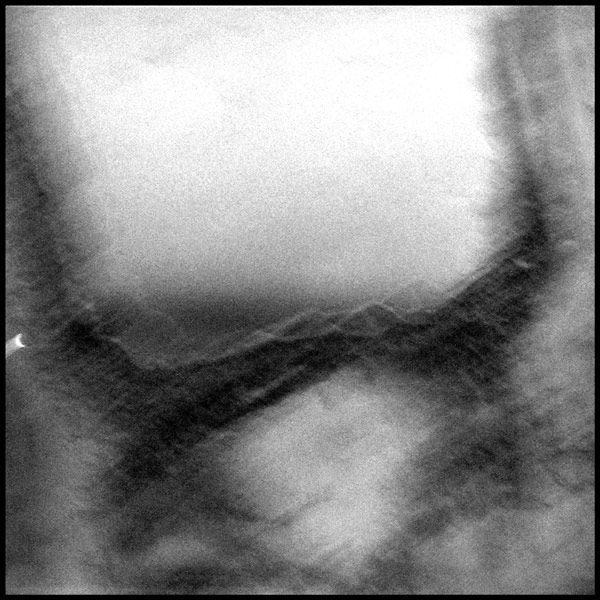 Portrét jednoho z nás II