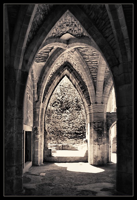 Fountains Abbey