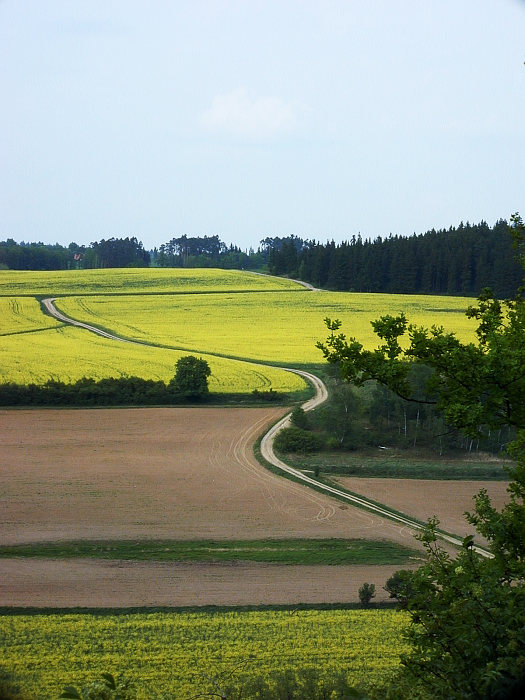 cestička k domovu