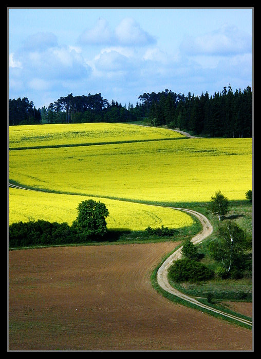 cestička k domovu