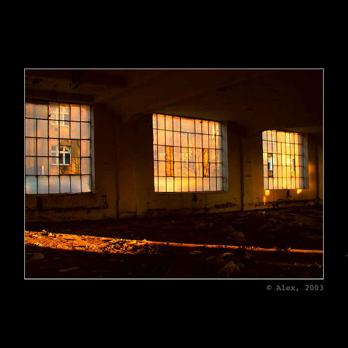 Tofárna´s windows