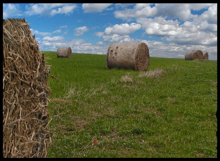 Špulky nebo rolády...