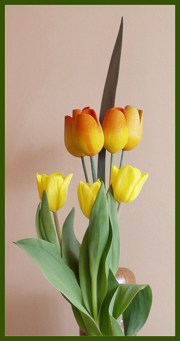 Tulipani :)