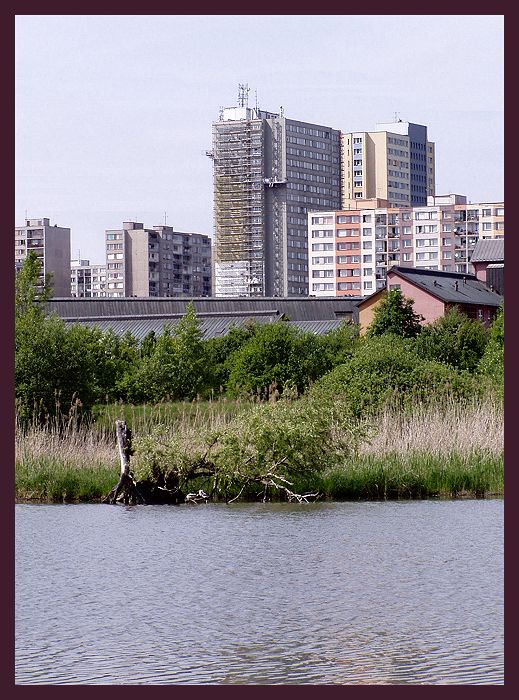 Milíčovský rybník