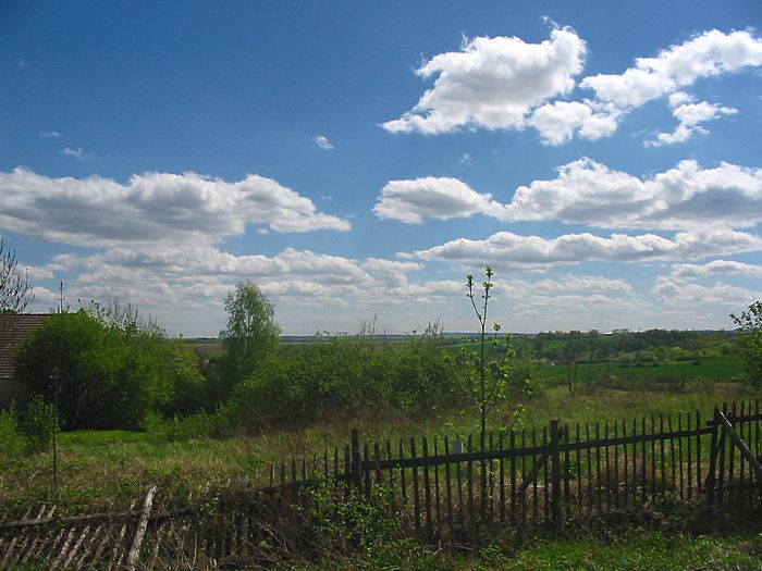 Jarni tema