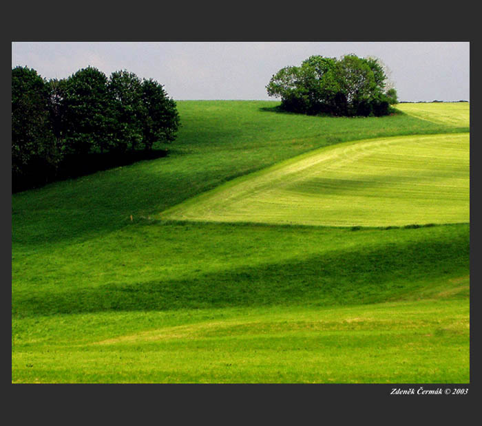 Linie