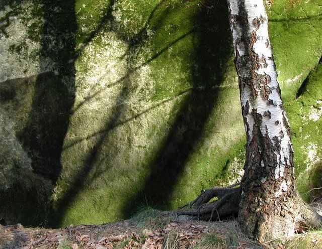 Tady jeste jedna podzimofka:)