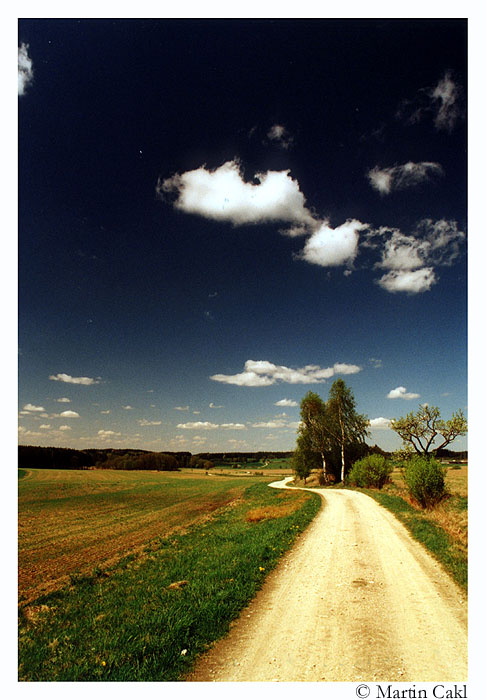 Roseč