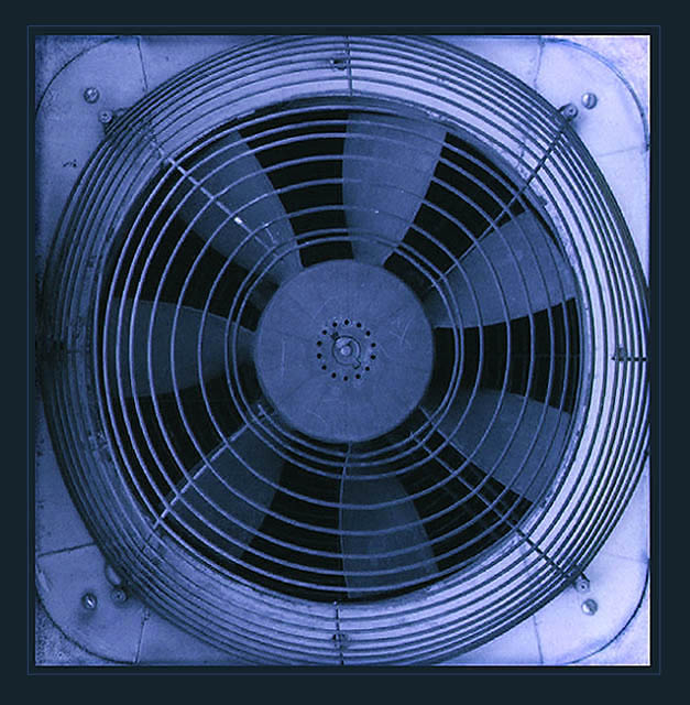 <b> Blue </b>