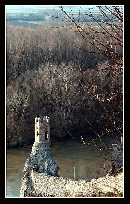 veza