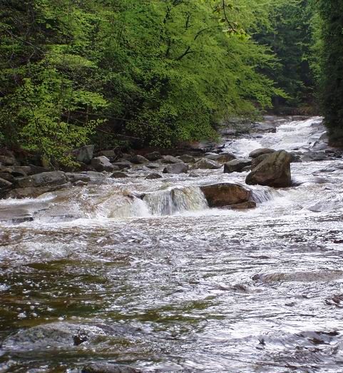 Mumlava (Harrachov)