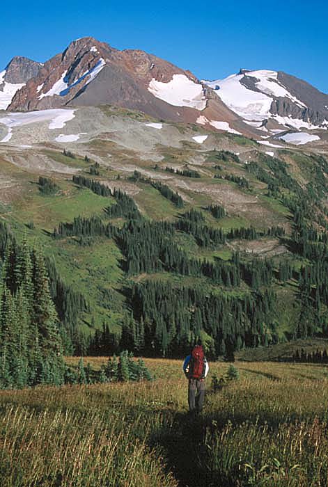 hiker