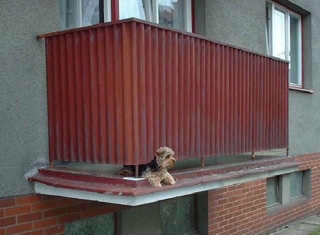 Domácí hlídač
