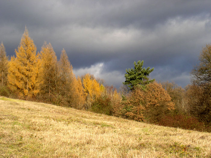 Před bouří