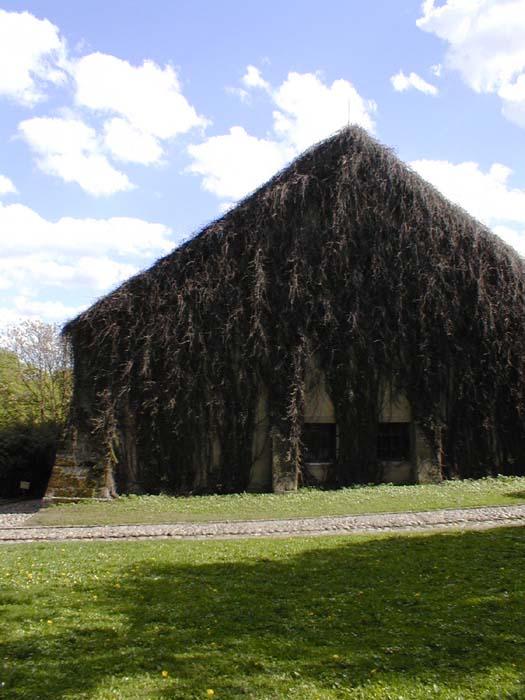 Hrubý Rohozec