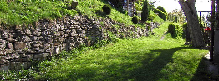 Cestička