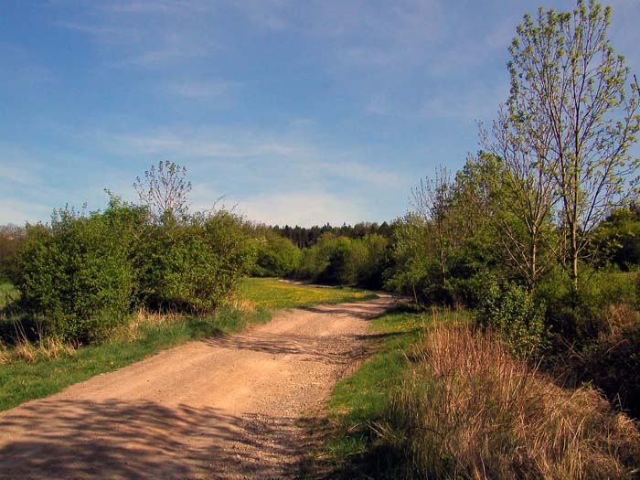 Cesta