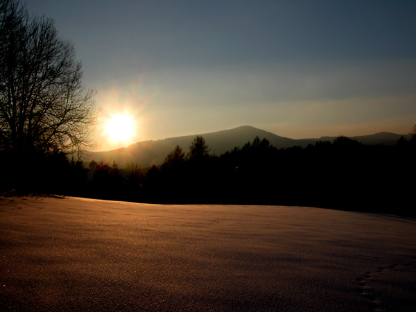trocha šáfránu ze zimního archívu