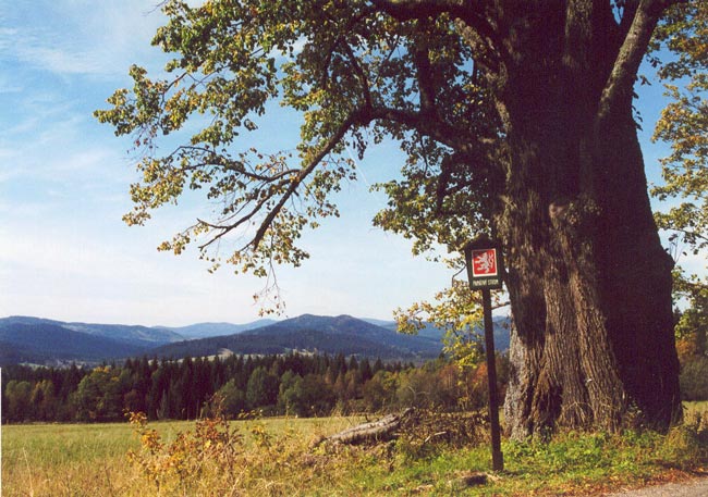 Šumava ´02