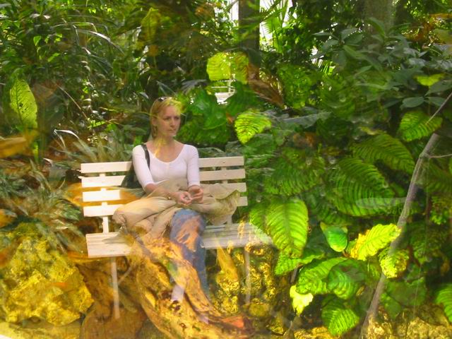Akvarium