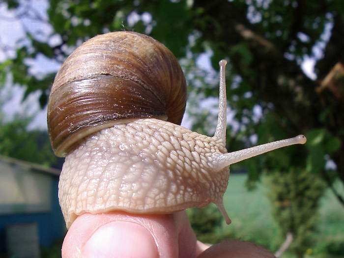 Kdo mně sem prsk, na ten prst?!?